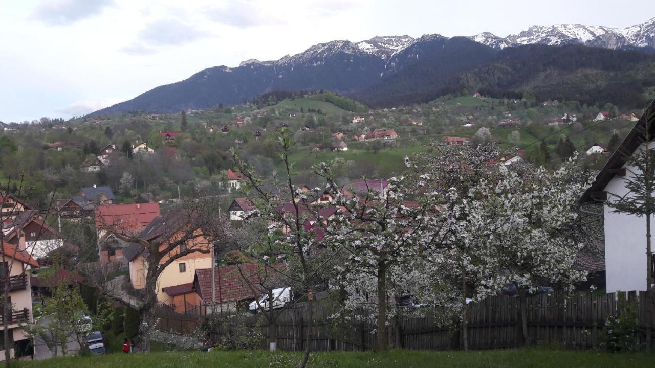 Pensiunea Sarah Bran Bran  Exterior foto